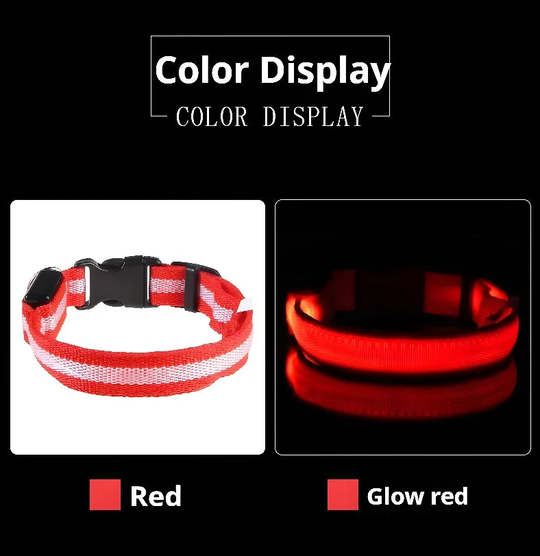 Dog Collar Nylon LED Night Safety Flashing Glow Pet Collar