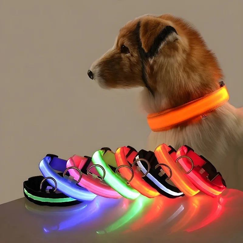 Dog Collar Nylon LED Night Safety Flashing Glow Pet Collar